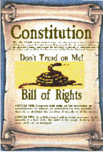 The Constitution