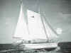 sb_u_sail.jpg (42893 bytes)