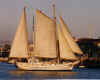 sd_sails.jpg (39835 bytes)