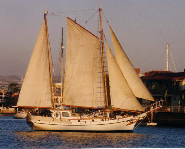 Sea Dragon
