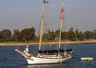 Sea Voyager