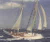 sw_1.jpg (18469 bytes)